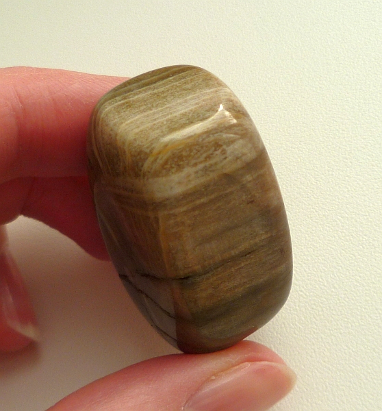 Энергия камней № 49 Древесный опал (окатанный камень) фото, обсуждение