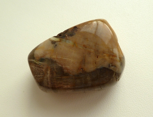 Энергия камней № 49 Древесный опал (окатанный камень) фото, обсуждение