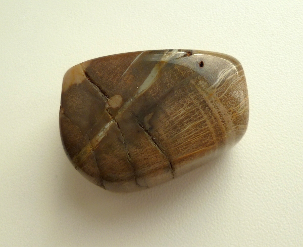 Энергия камней № 49 Древесный опал (окатанный камень) фото, обсуждение