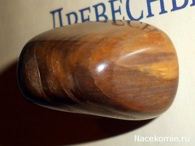 Энергия камней № 49 Древесный опал (окатанный камень) фото, обсуждение