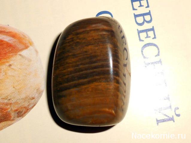 Энергия камней № 49 Древесный опал (окатанный камень) фото, обсуждение