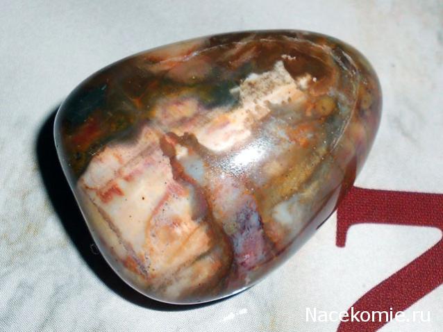 Энергия камней № 49 Древесный опал (окатанный камень) фото, обсуждение