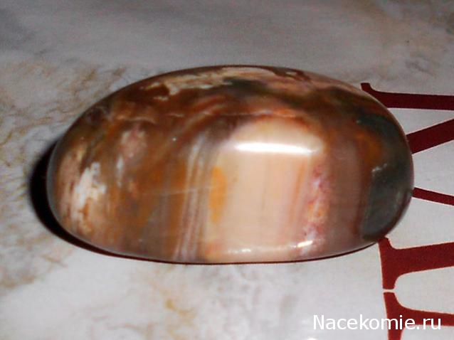 Энергия камней № 49 Древесный опал (окатанный камень) фото, обсуждение