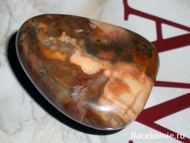 Энергия камней № 49 Древесный опал (окатанный камень) фото, обсуждение
