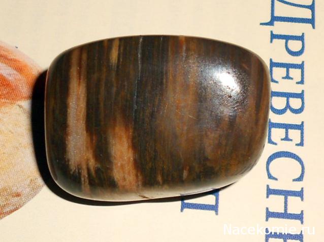 Энергия камней № 49 Древесный опал (окатанный камень) фото, обсуждение