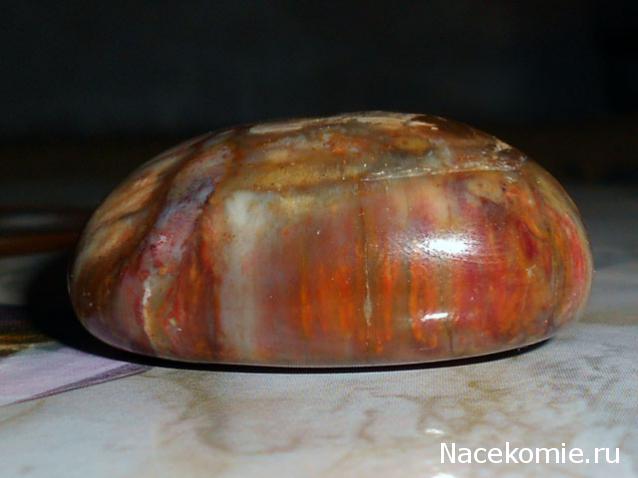 Энергия камней № 49 Древесный опал (окатанный камень) фото, обсуждение