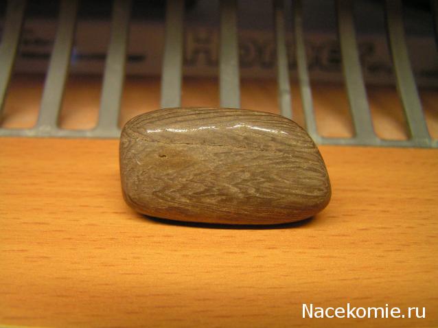 Энергия камней № 49 Древесный опал (окатанный камень) фото, обсуждение