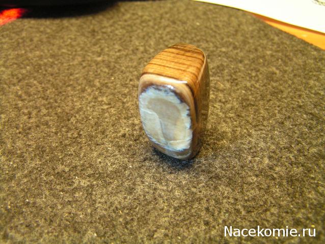 Энергия камней № 49 Древесный опал (окатанный камень) фото, обсуждение