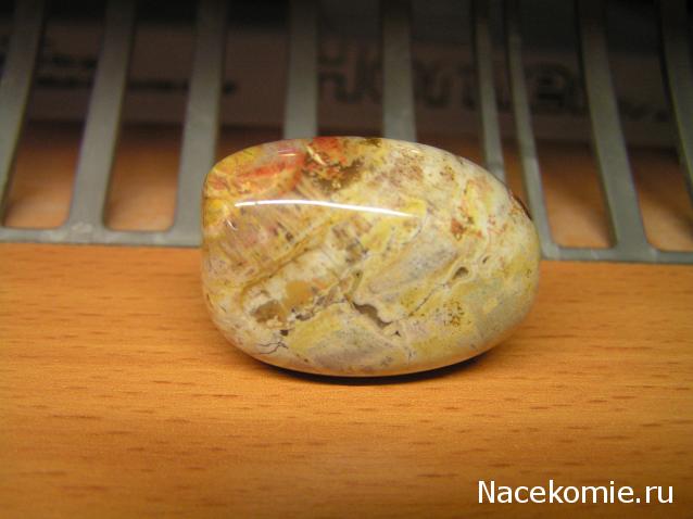 Энергия камней № 49 Древесный опал (окатанный камень) фото, обсуждение