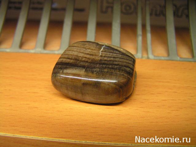 Энергия камней № 49 Древесный опал (окатанный камень) фото, обсуждение