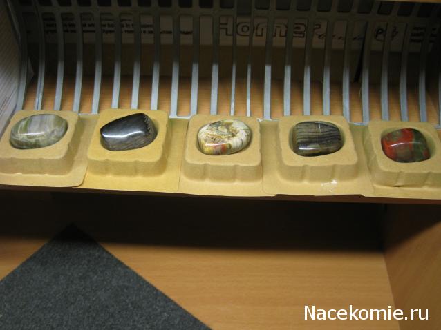 Энергия камней № 49 Древесный опал (окатанный камень) фото, обсуждение