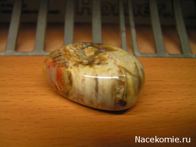 Энергия камней № 49 Древесный опал (окатанный камень) фото, обсуждение