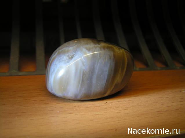 Энергия камней № 49 Древесный опал (окатанный камень) фото, обсуждение