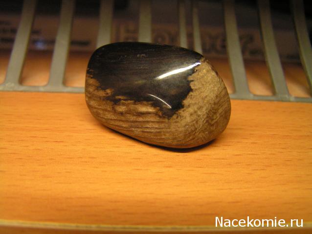 Энергия камней № 49 Древесный опал (окатанный камень) фото, обсуждение