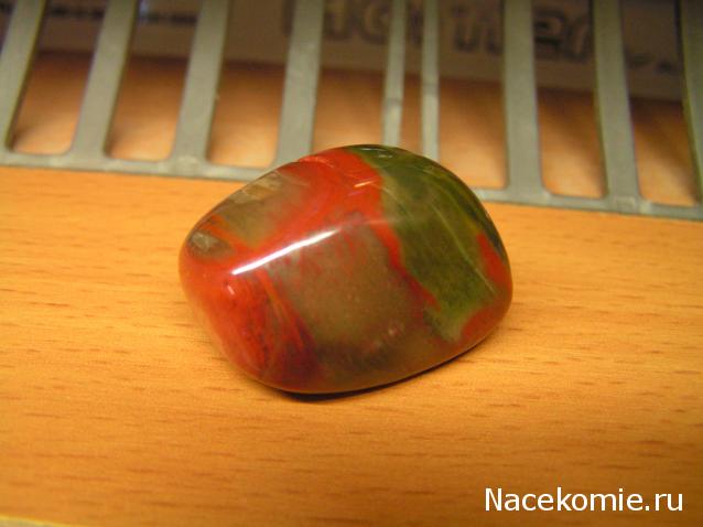 Энергия камней № 49 Древесный опал (окатанный камень) фото, обсуждение