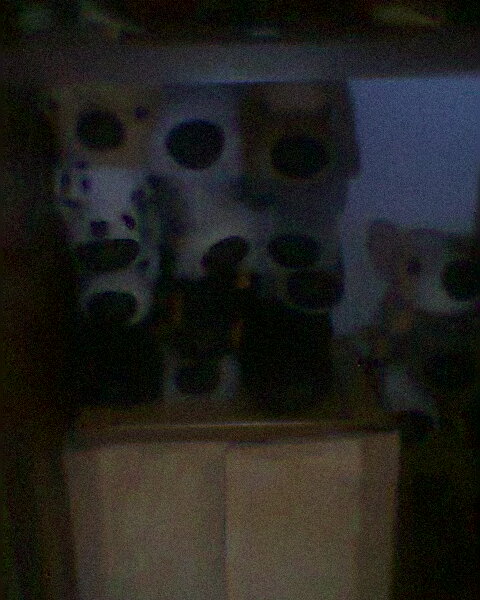 The Dog Collection №26 Мальтийская Болонка