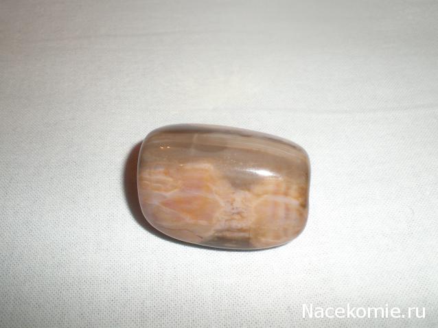 Энергия камней № 49 Древесный опал (окатанный камень) фото, обсуждение