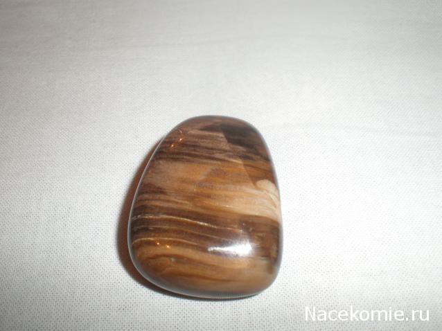 Энергия камней № 49 Древесный опал (окатанный камень) фото, обсуждение