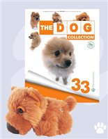 The Dog Collection 2010 - График Выхода и обсуждение