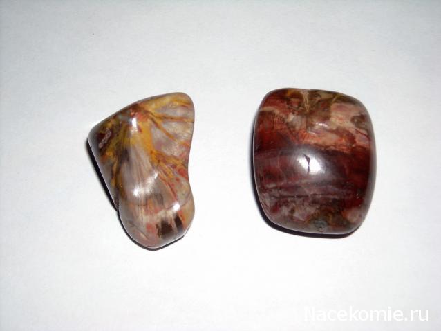 Энергия камней № 49 Древесный опал (окатанный камень) фото, обсуждение