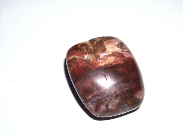 Энергия камней № 49 Древесный опал (окатанный камень) фото, обсуждение