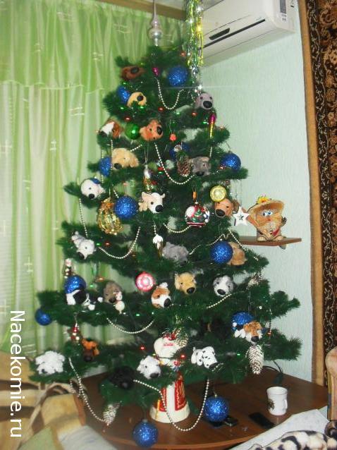 The Dog Collection 2010 - График Выхода и обсуждение