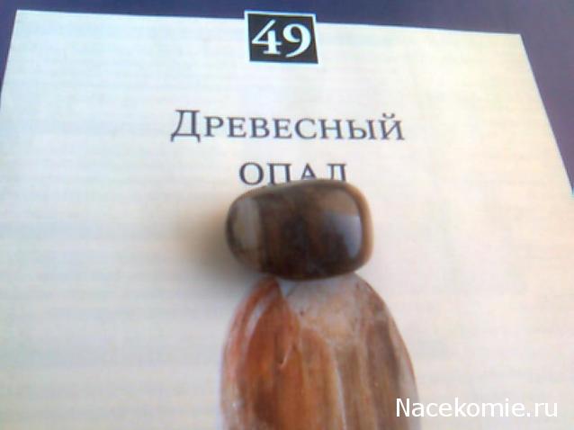 Энергия камней № 49 Древесный опал (окатанный камень) фото, обсуждение
