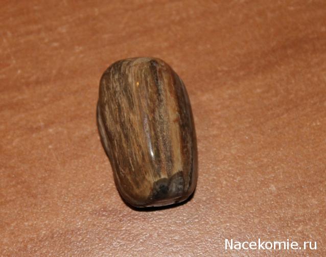 Энергия камней № 49 Древесный опал (окатанный камень) фото, обсуждение