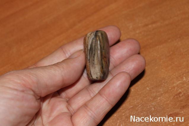 Энергия камней № 49 Древесный опал (окатанный камень) фото, обсуждение