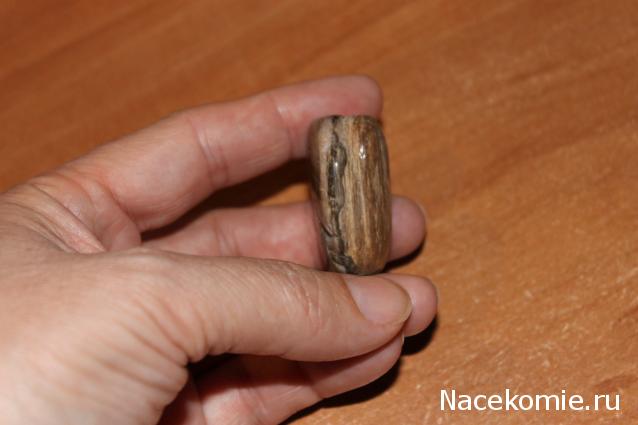 Энергия камней № 49 Древесный опал (окатанный камень) фото, обсуждение