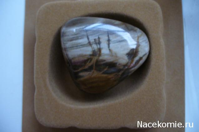 Энергия камней № 49 Древесный опал (окатанный камень) фото, обсуждение