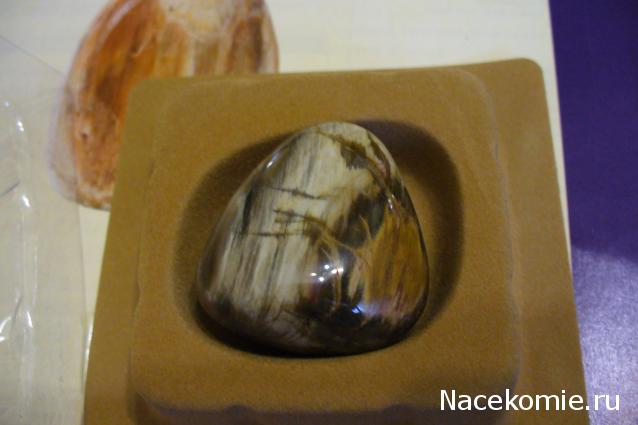 Энергия камней № 49 Древесный опал (окатанный камень) фото, обсуждение