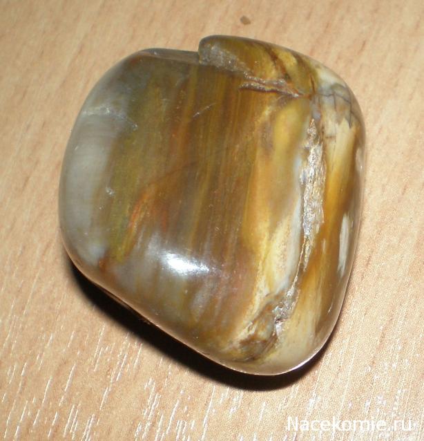 Энергия камней № 49 Древесный опал (окатанный камень) фото, обсуждение