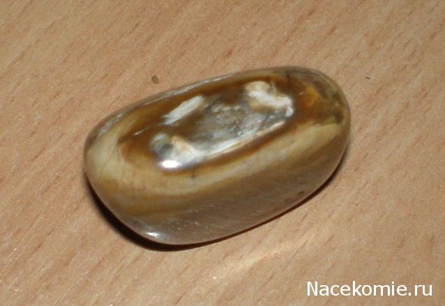 Энергия камней № 49 Древесный опал (окатанный камень) фото, обсуждение
