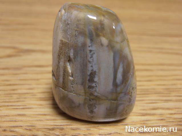 Энергия камней № 49 Древесный опал (окатанный камень) фото, обсуждение