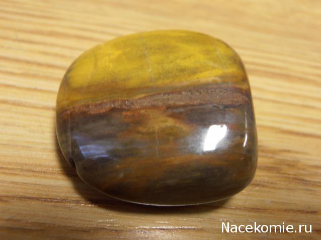 Энергия камней № 49 Древесный опал (окатанный камень) фото, обсуждение