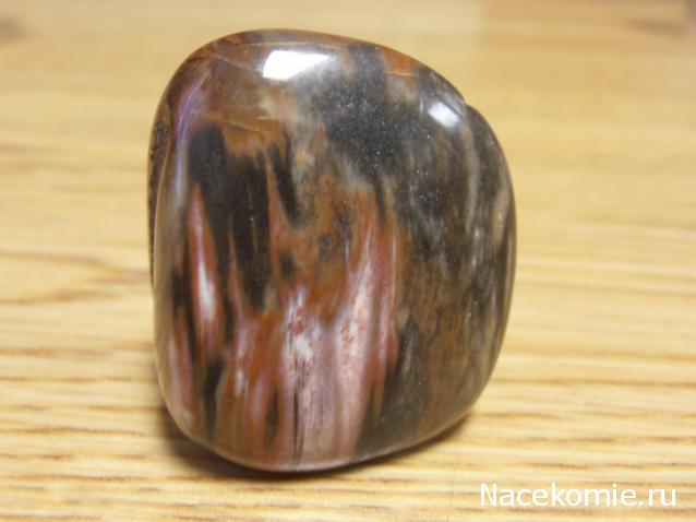 Энергия камней № 49 Древесный опал (окатанный камень) фото, обсуждение