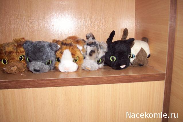 The Cat Collection График Выхода, обсуждение серии