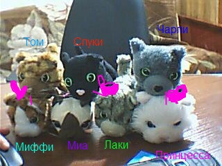 The Cat Collection График Выхода, обсуждение серии