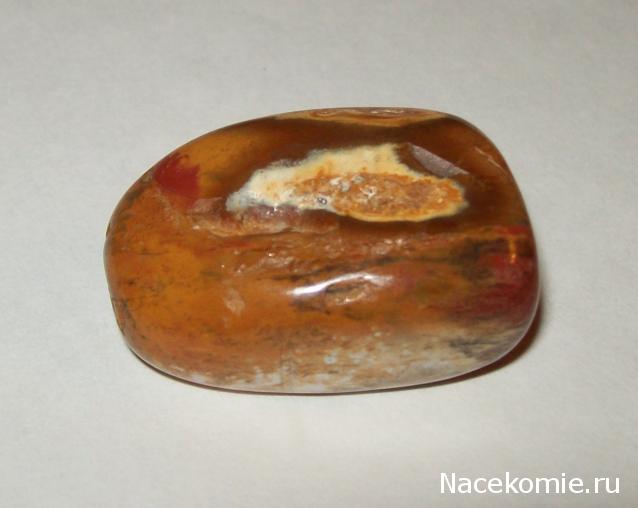 Энергия камней № 49 Древесный опал (окатанный камень) фото, обсуждение