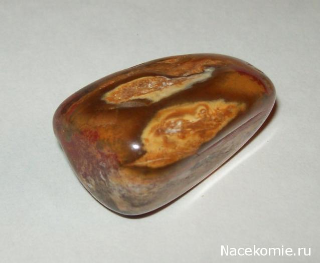 Энергия камней № 49 Древесный опал (окатанный камень) фото, обсуждение