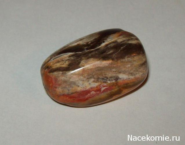 Энергия камней № 49 Древесный опал (окатанный камень) фото, обсуждение