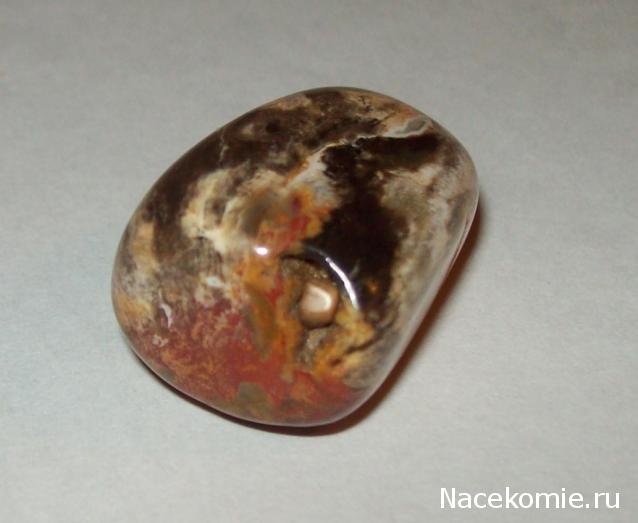 Энергия камней № 49 Древесный опал (окатанный камень) фото, обсуждение