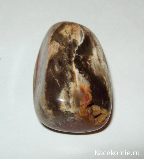 Энергия камней № 49 Древесный опал (окатанный камень) фото, обсуждение