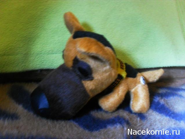 The Dog Collection 2010 - График Выхода и обсуждение