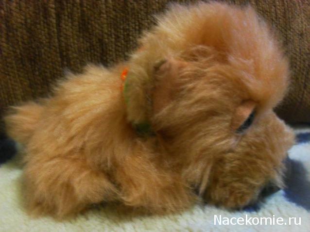 The Dog Collection 2010 - График Выхода и обсуждение