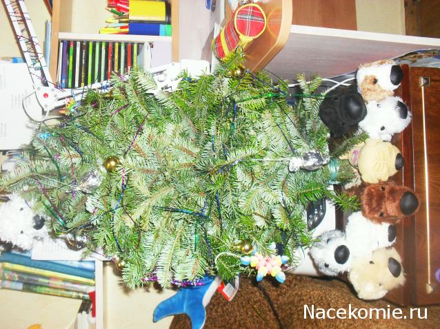 The Dog Collection 2010 - График Выхода и обсуждение