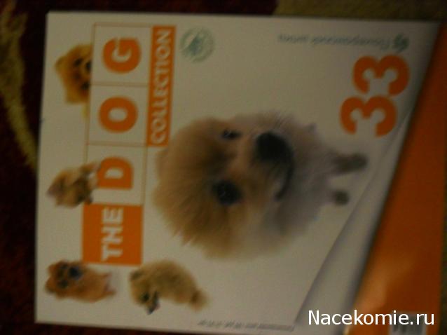 The Dog Collection 2010 - График Выхода и обсуждение