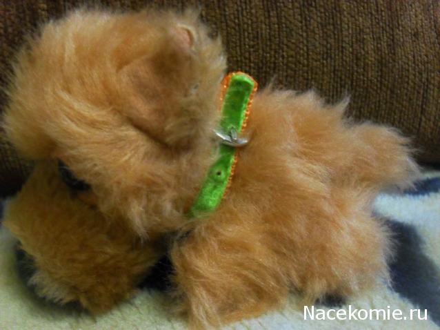 The Dog Collection 2010 - График Выхода и обсуждение