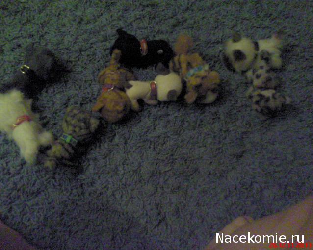 The Cat Collection График Выхода, обсуждение серии